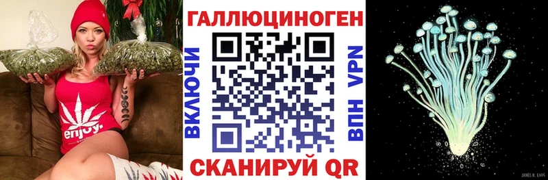 гидра зеркало  дарнет шоп  Куровское  Галлюциногенные грибы прущие грибы 